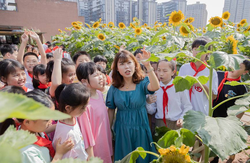 nðMտ@ɽ^(q)ǺWУD