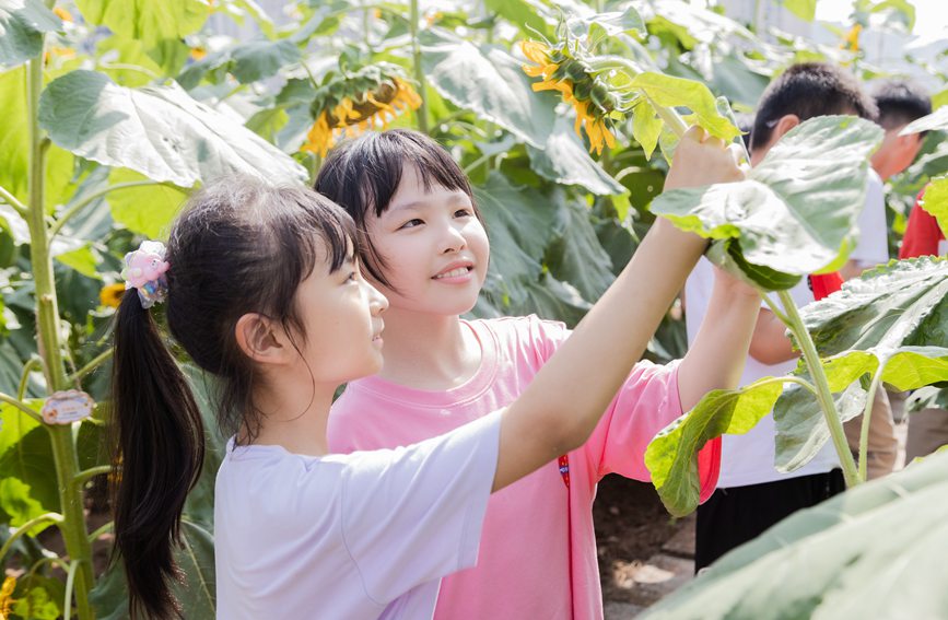 nðM(jn)տ@ɽ^(q)ǺW(xu)УD