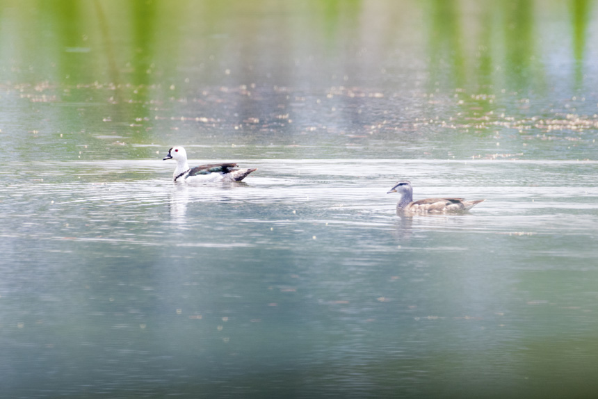 (gu)Ҷ(j)o(h)(dng)Dp(gu)ҝع@ˮґˣȑєz