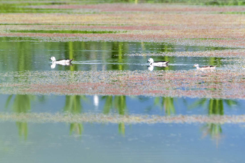 (gu)Ҷ(j)o(h)(dng)Dp(gu)ҝع@ˮґˣȑєz