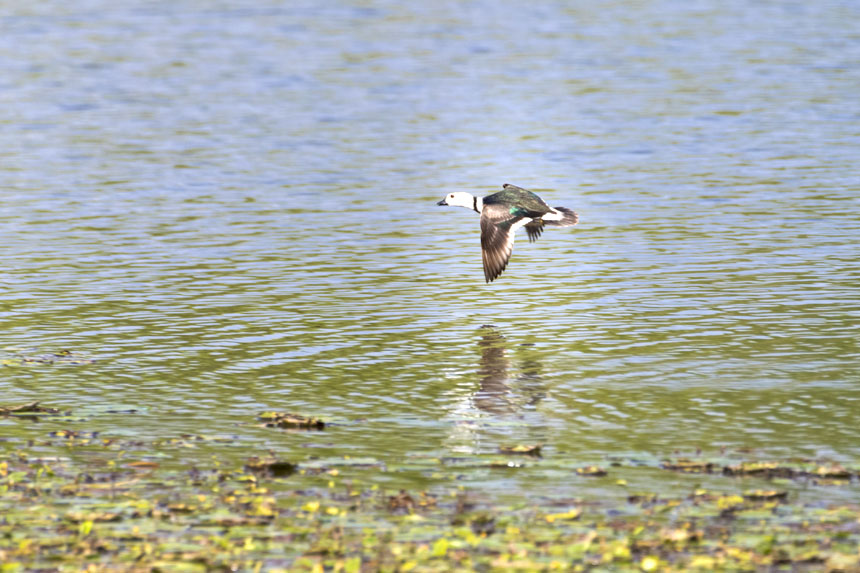 Ҷ(j)o(h)(dng)Dpҝع@ˮґˣȑєz