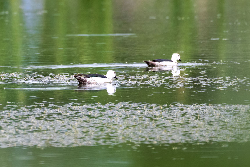 ҶoDpҝع@ˮґˣȑєz