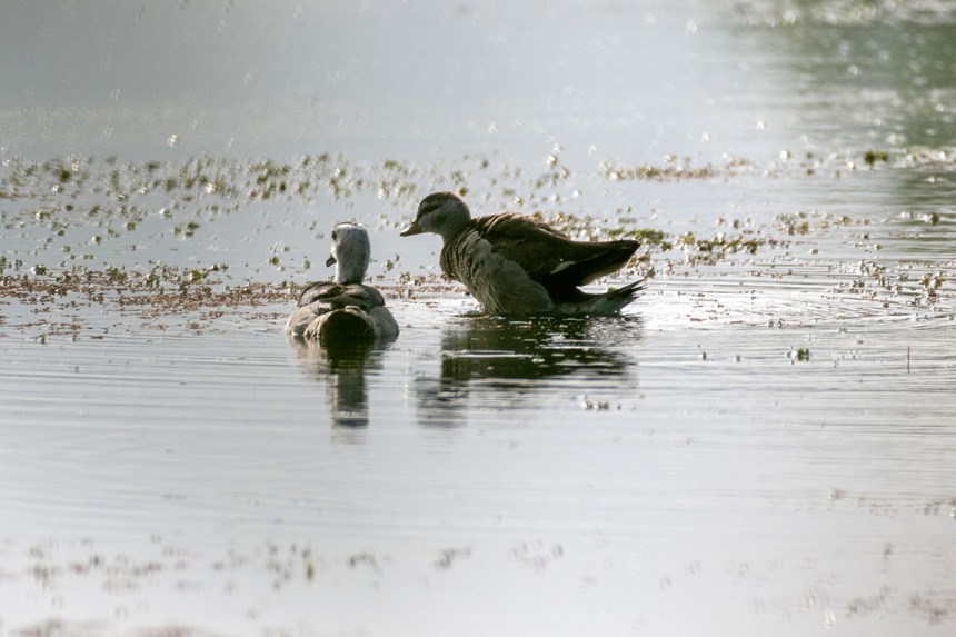 (gu)Ҷ(j)o(h)(dng)Dp(gu)ҝع@ȺЗϢҒʳȑєz