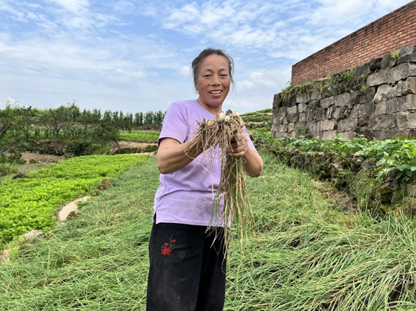 ի@ˊ^(ji)hίD