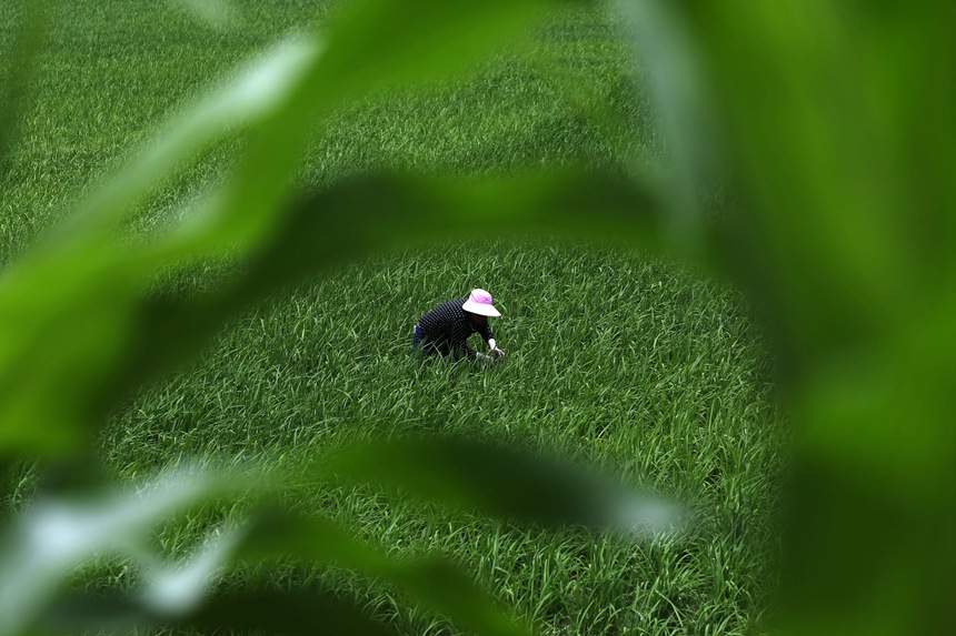 621ؑcǭ^(q)R(zhn)ɼڵ޶z