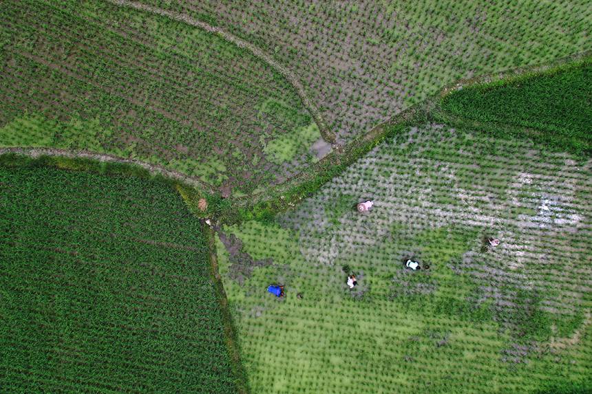 621ؑcǭ^(q)R(zhn)ɼ(sh)ڵ޶z