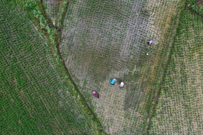 621ؑcǭ^(q)R(zhn)ɼڵ޶z