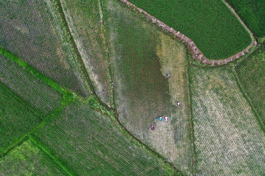 621ؑcǭ^(q)R(zhn)ɼڵ޶z