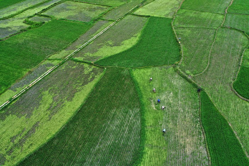 621ؑcǭ^(q)R(zhn)ɼڵ޶z