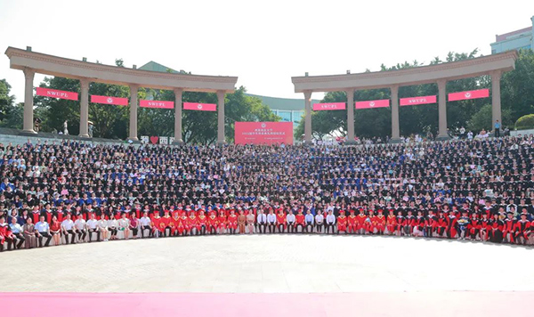 W(xu)I(y)YF(xin)DW(xu)D