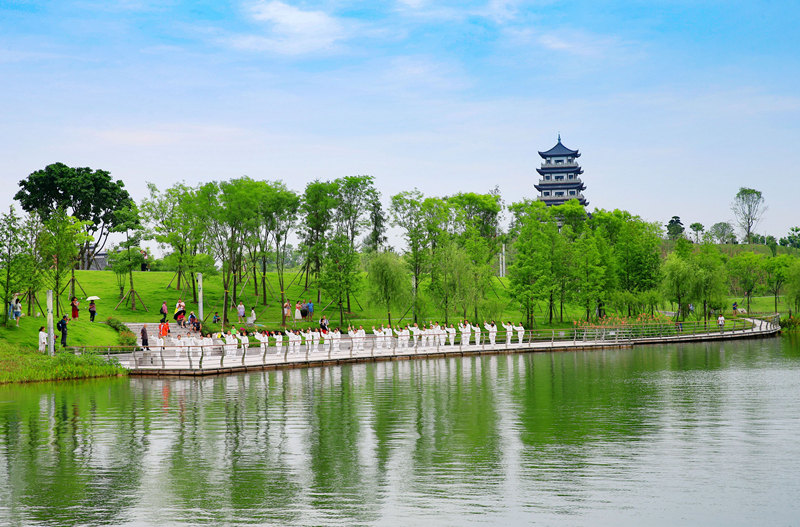 市民在三合湖濕地公園表演太極功夫。黃亞輝攝