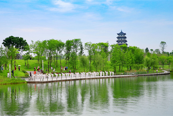 市民在三合湖濕地公園表演太極功夫。向曉秋攝