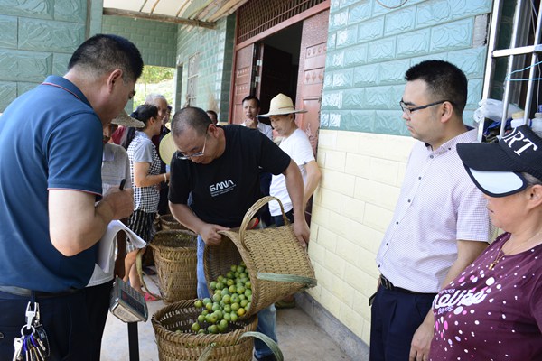鎮(zhèn)上負(fù)責(zé)人現(xiàn)場把關(guān)脫骨李質(zhì)量和重量。受訪者供圖