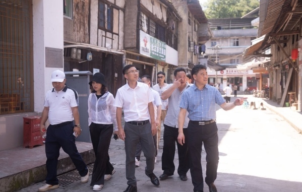 專家們參觀考察。石龍鎮(zhèn)供圖