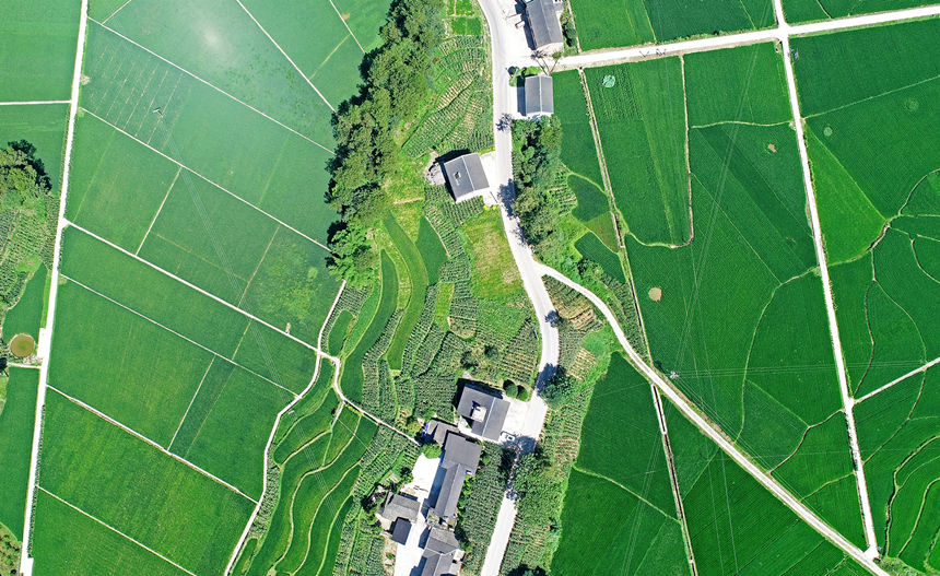 涪陵馬武鎮(zhèn)文觀村田間風(fēng)景如畫。黃河攝