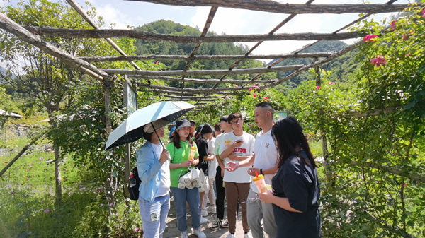 燭光教育關(guān)愛小分隊在嵐天鄉(xiāng)大巴山蜂情園進行研學(xué)。城口縣委宣傳部供圖