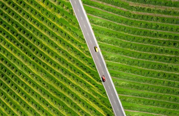 航拍下的無(wú)人果園。渝北區(qū)委網(wǎng)信辦供圖