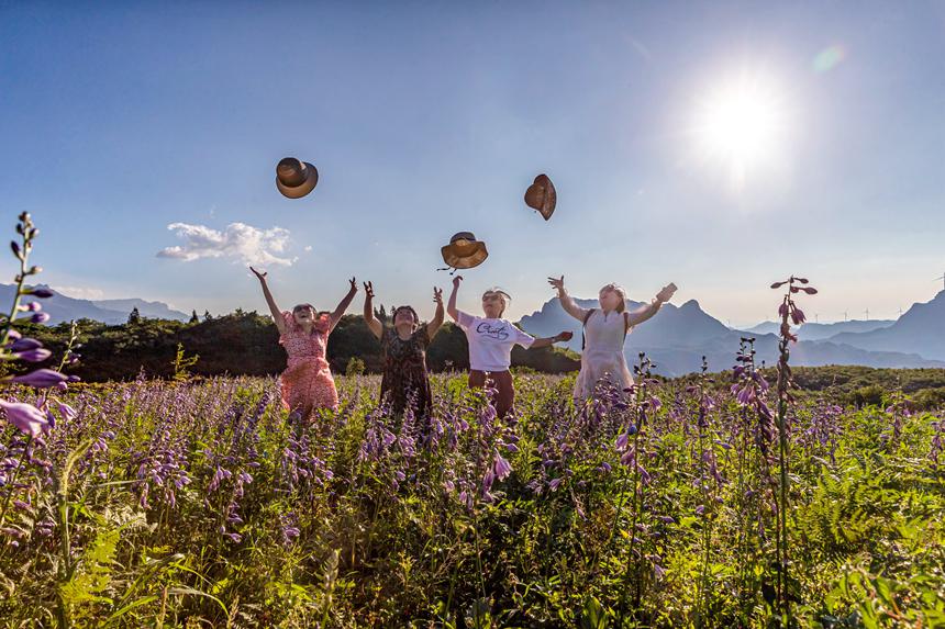 游客在南川山王坪感受涼爽夏日。瞿明斌攝