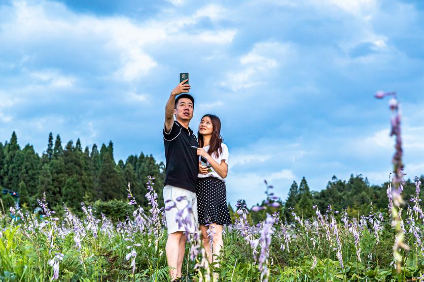 游客在南川山王坪感受涼爽夏日。瞿明斌攝