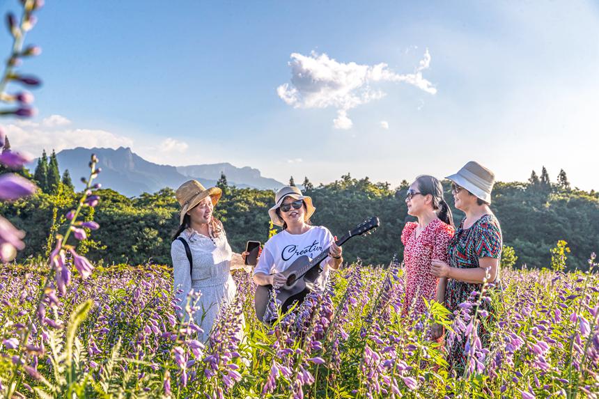 游客在南川山王坪感受涼爽夏日。瞿明斌攝