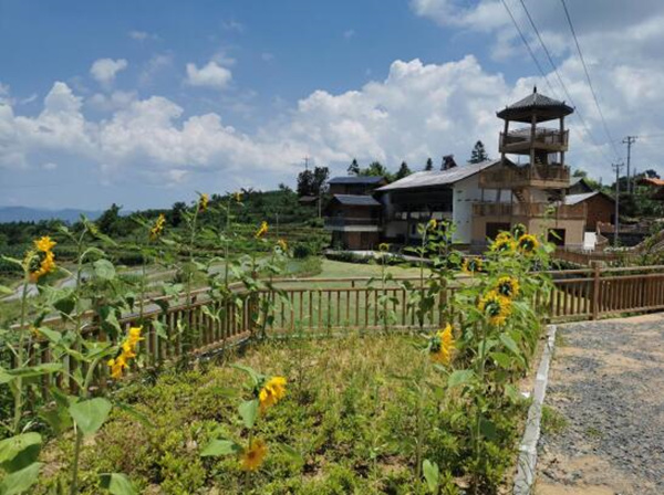 橋頭鎮(zhèn)人居環(huán)境示范點(diǎn)梨家灣。李文萍攝