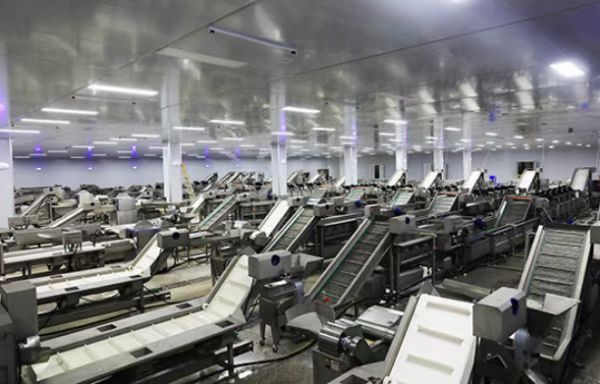 凈菜加工廠設(shè)備安裝完成。彭水縣委網(wǎng)信辦供圖