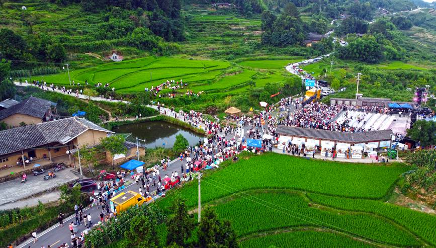 梁平區(qū)“明月之夏·露營蟠龍”首屆美麗鄉(xiāng)村露營節(jié)活動現(xiàn)場。向成國攝