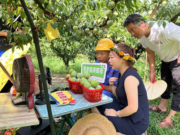 “鋼筋工”陶正強網(wǎng)絡(luò)帶貨助農(nóng)銷售。蔣海濤攝