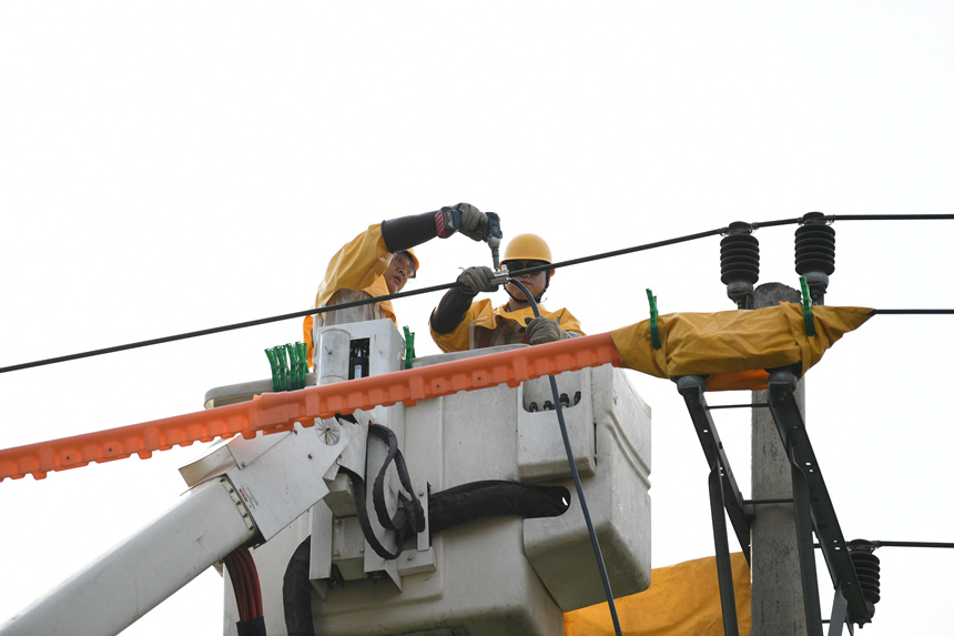 電力公司工作人員在巴南區(qū)界石鎮(zhèn)虎嘯村開展帶電作業(yè)。潘洪攝