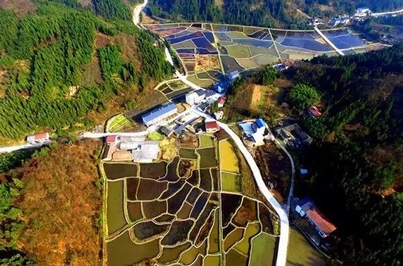 冷水鎮(zhèn)風(fēng)光 ?圖:石柱發(fā)布