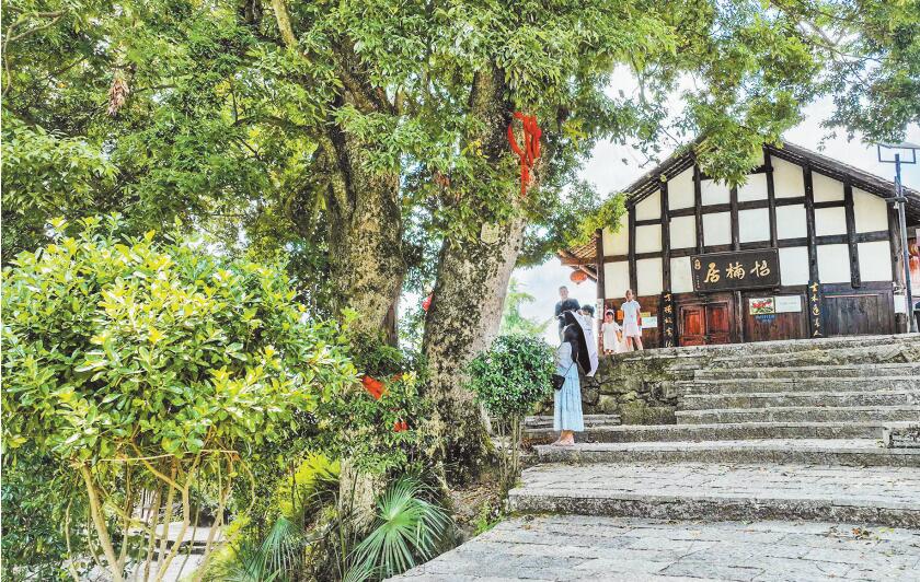 酉陽(yáng)兩罾鄉(xiāng)內(nèi)口村獲評(píng)“中國(guó)千年金絲楠第一村”