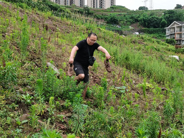 《加強日常隱患巡查，保一方平安》。5月26日，在大渡口區(qū)八橋鎮(zhèn)互助村，大渡口區(qū)駐守地質(zhì)隊員王璐杰提著沾滿泥土的鞋子，赤腳繼續(xù)開展日常地質(zhì)災(zāi)害隱患排查、巡查。石飛攝