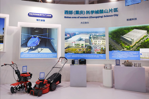 璧山區(qū)展臺場景。林霞攝