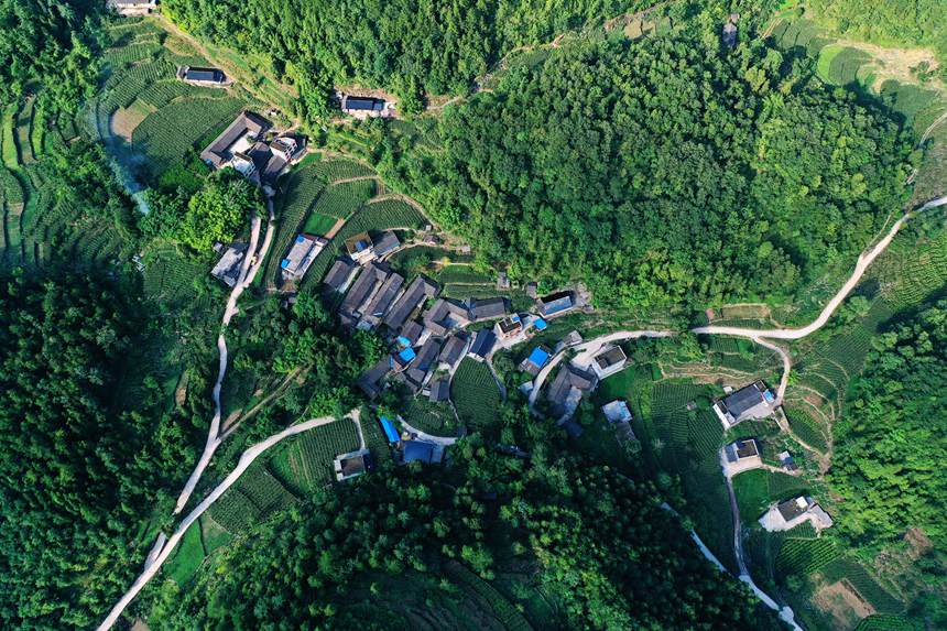 黔江區(qū)阿蓬江鎮(zhèn)青杠村。楊敏攝