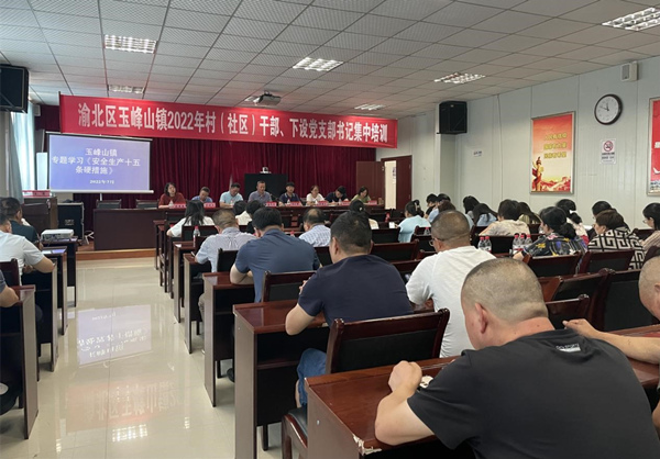 培訓(xùn)現(xiàn)場(chǎng)。玉峰山鎮(zhèn)供圖