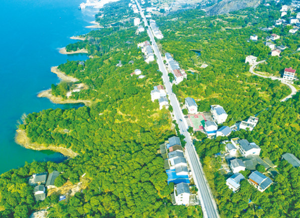 豐都長(zhǎng)江南岸龍眼經(jīng)濟(jì)帶。豐都縣委宣傳部供圖