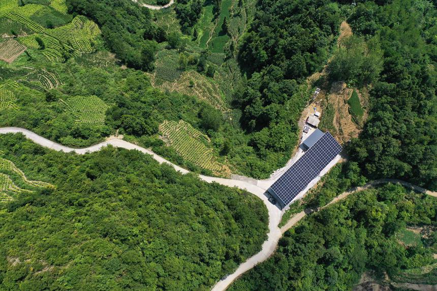 鵝池社區(qū)光伏養(yǎng)蠶大棚。楊敏攝