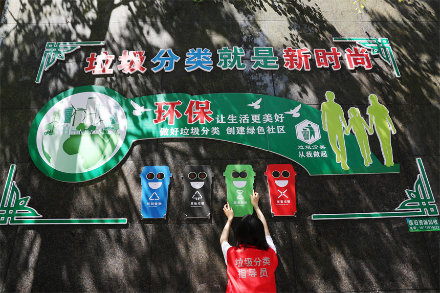 在當(dāng)?shù)厍堦栮P(guān)國際小區(qū)垃圾分類集中收集亭，垃圾分類宣傳員在整理垃圾分類廣告牌。楊敏攝