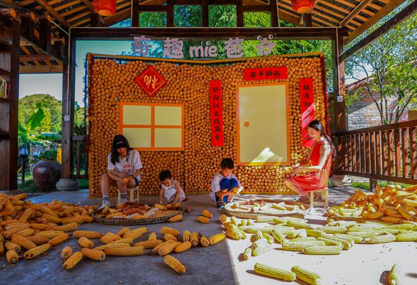 游客參與剝玉米活動。熊偉 攝