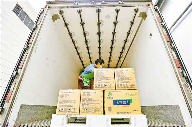 7月31日，萬盛經(jīng)開區(qū)叢林鎮(zhèn)綠水村，工人往冷鏈物流車上裝金針菇。通訊員 王瀘州 攝/視覺重慶