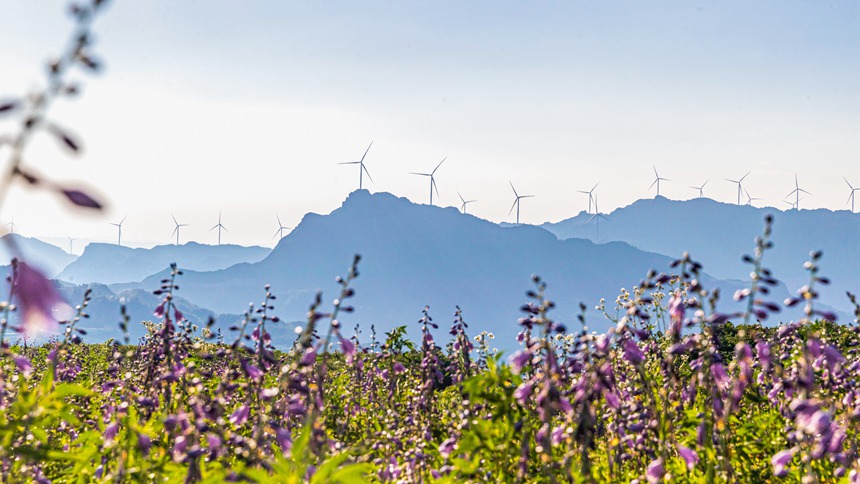 風(fēng)力發(fā)電車迎風(fēng)轉(zhuǎn)動(dòng)。瞿明斌攝