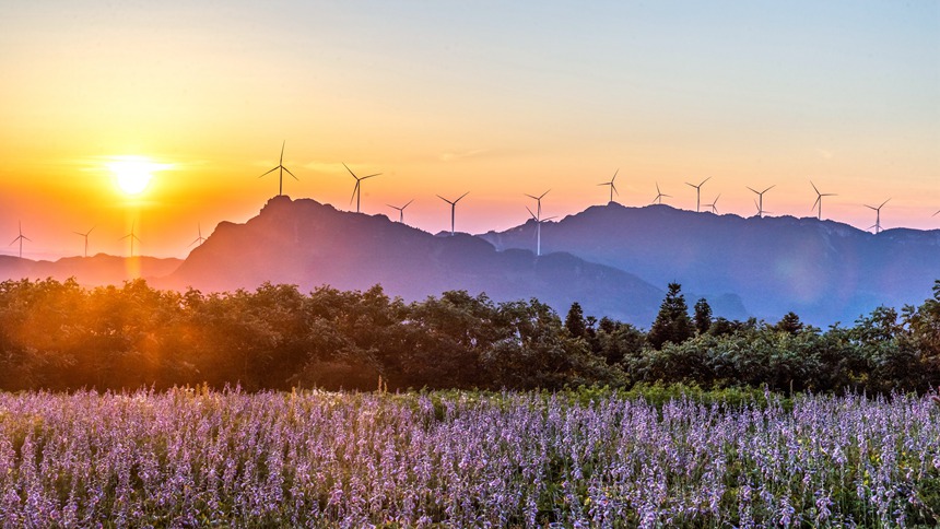 風(fēng)力發(fā)電車迎風(fēng)轉(zhuǎn)動。瞿明斌攝