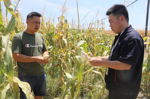 田間地頭開展保險理賠工作。潼南區(qū)委宣傳部供圖