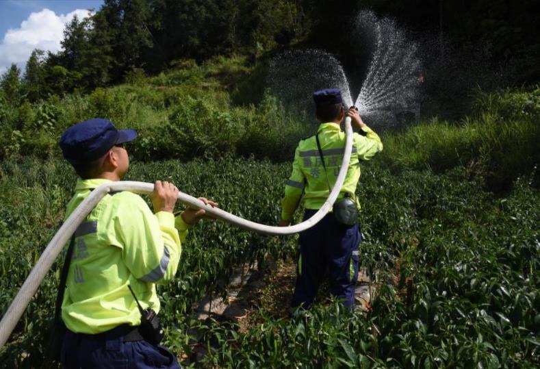 秀山縣應急管理局綜合救援隊隊員抽水灌溉辣椒種植基地。任燕攝