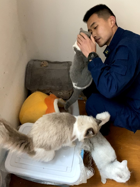 萬惠文同志生前收養(yǎng)的3只流浪貓。