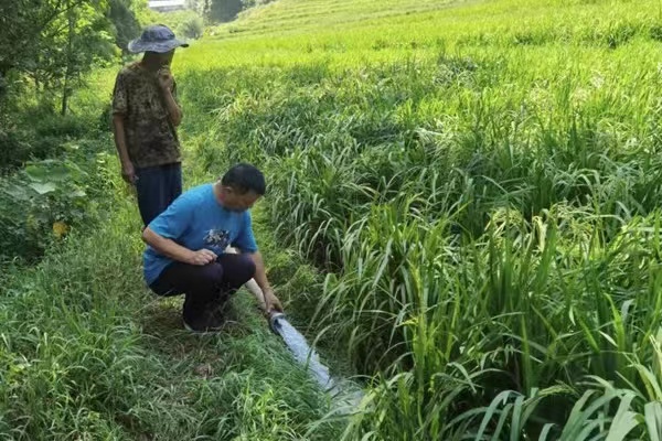 姜家鎮(zhèn)水源村黨委書記楊永明查看農(nóng)田灌溉情況。姜家鎮(zhèn)政府供圖