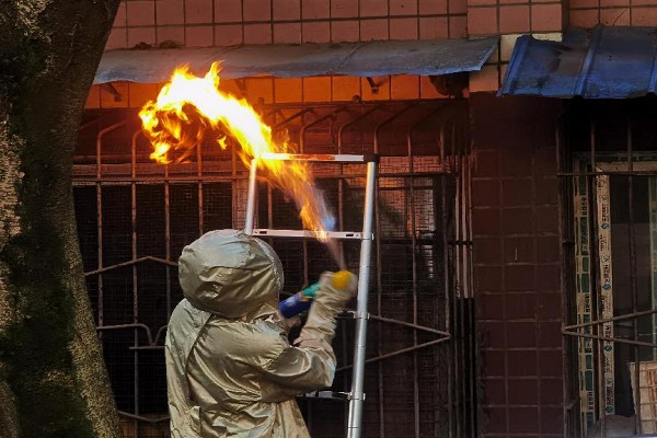 消防員清理住戶窗外的馬蜂窩。兩江新區(qū)消防救援支隊供圖