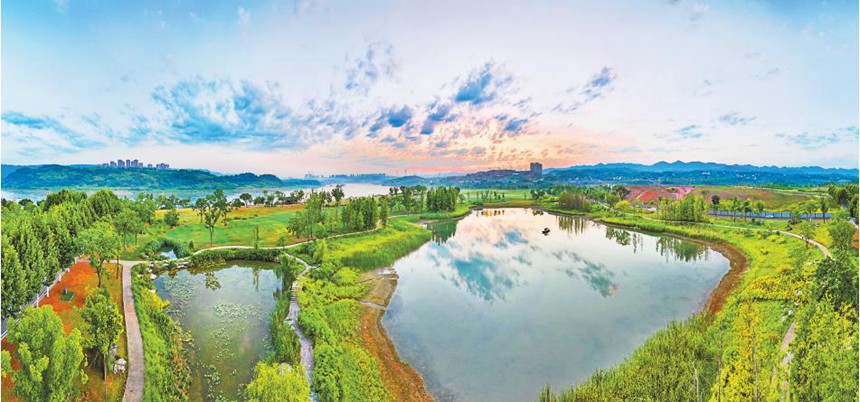 8月16日，廣陽島生機(jī)盎然的初秋美景。特約攝影 鐘志兵/視覺重慶