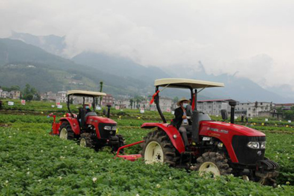 巫溪馬鈴薯良種繁育示范基地機(jī)械化作業(yè)現(xiàn)場。資料圖片