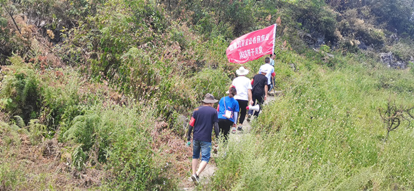 武隆區(qū)政府辦公室?guī)头黾瘓F(tuán)黨員干部突擊隊(duì)開(kāi)展森林防火巡山工作。黃琴攝